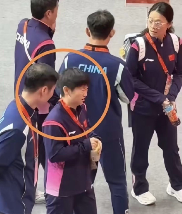 专业TYC服务