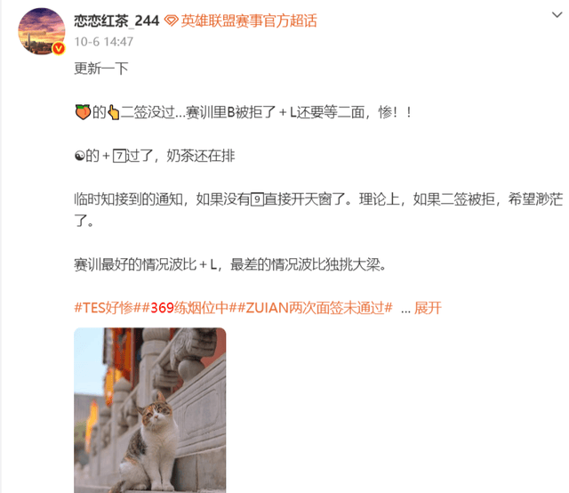 TYC案例展示