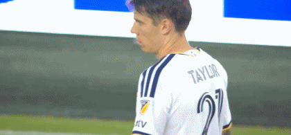 TYC介绍图片