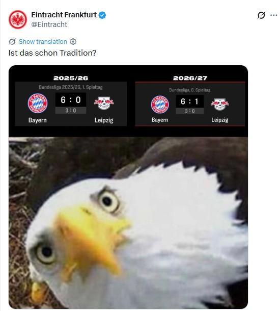 TYC相关图片